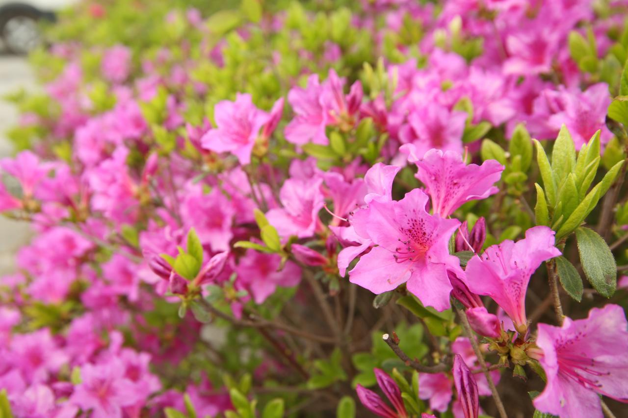 Namwon Hotel Buitenkant foto